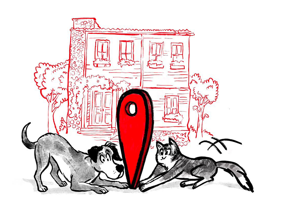Royal Canin 10. Yıl Deneyim Evi